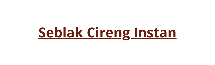 Seblak Cireng Instan